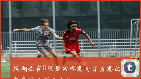 杨瀚森在G联盟常规赛与季后赛的精彩表现分析与总结